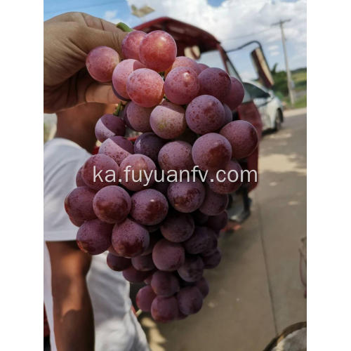 Yunnan წითელი გლობუსის ყურძენი